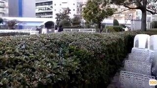 精品国产福利拍拍拍,成人视频高清免费观看